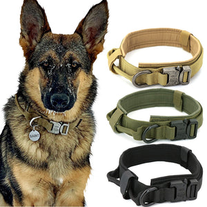 Most Sought-After Dog Product Collection. Deals of the Day!